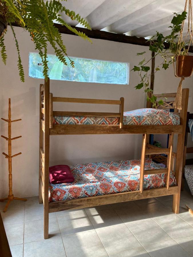 Casa Dos Ventos - Refugio, Sustentabilidade, Conexao Ubatuba Exterior foto